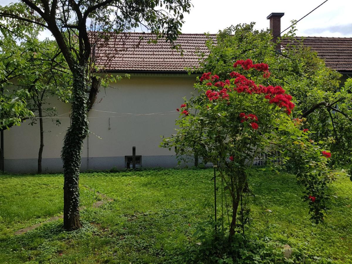 Apartment Coola Ljubljana